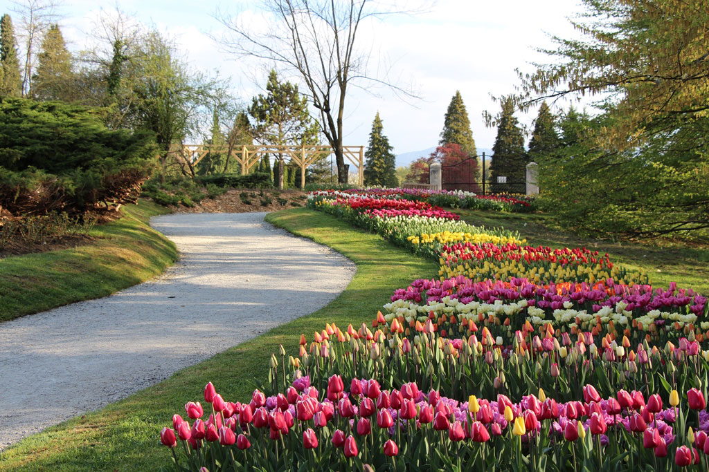 arboretum-2